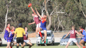 Swans too polished for Dees