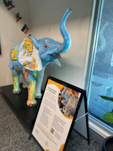 Family violence the elephant in room