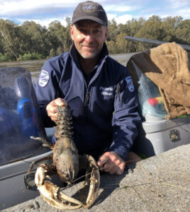 Cod, crays saved from floodwaters