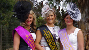 Record crowds for festival fun