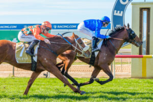 The right option for Coffey