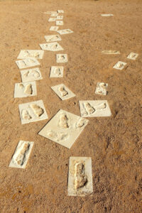 Footprints tell story