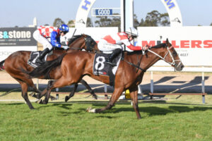 Hobson’s gamble on short back-up pays off