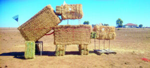 Farmer bullish about hay ‘porn’