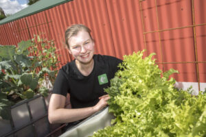 Homegrown produce back in style