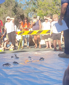 Moulamein Preschool to host Easter fair yabby race