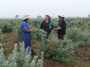 Putting the Old Man to good use