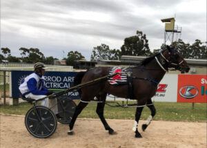 Arthur A Winner At Swan Hill Trots
