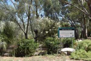 Natural response to wetlands concern