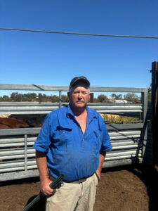 Producers, pollies weigh in on saleyards