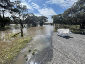 Culgoa braces for Tyrrell Creek peak