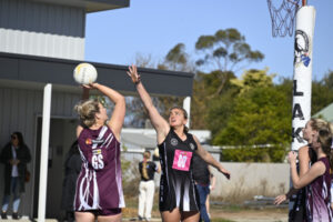 Magpies soar to top of ladder