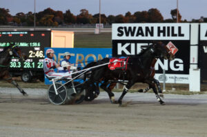 Maggs bags driving double