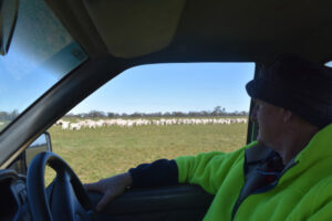 ‘A hell of a lot at stake’: farm anxiety rising, says farmer