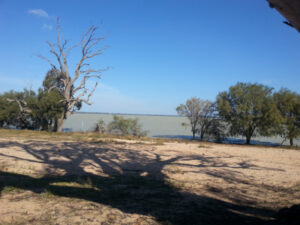 Cut the carp to raise trek funds