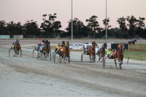 Crook’s night out at Swan Hill trots