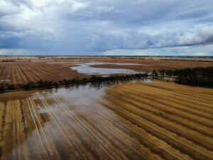 Crops cop a drenching