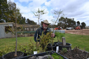 Recycling branches out