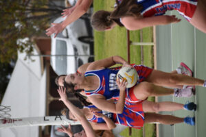 Tigers rebound against Blues