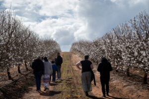 Stop and smell the blossoms