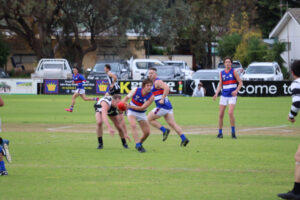 Dogs, Swans to re-ignite rivalry