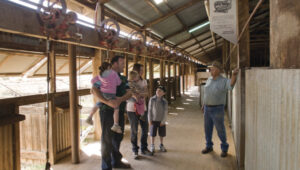 Yanga precinct closed for works