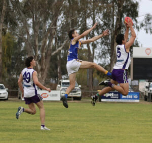 Cohuna build with two on the trot