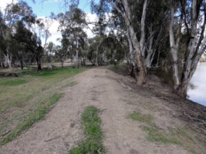 Island levees under review