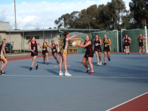 Wandella 2023 Netball Preview