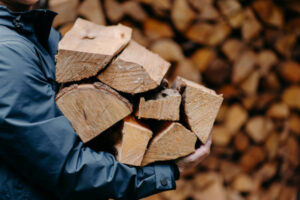 Don’t risk our wildlife this firewood season