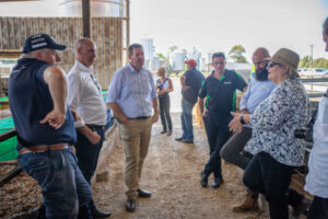 Senator hears buybacks concerns