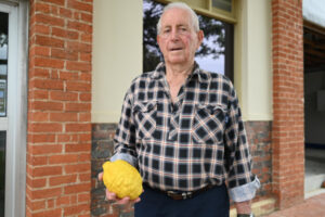 Here’s a lemon with a twist