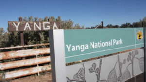 Inquiry sets sights on Yanga