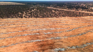 Legality of habitat destruction questioned