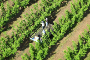 Anger over backpacker tax