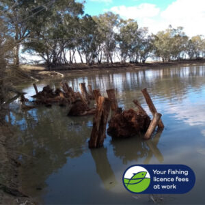 More habitats for fish