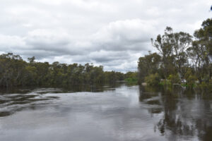 Farmers, environmentalists back longer basin plan deadline