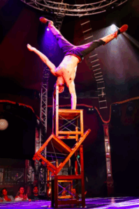 RAILED: Bare chested circus meets bare knuckle bar fights