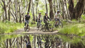 Murray trail on the cards