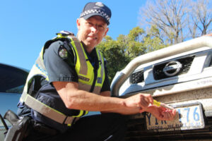 Screw down plate security