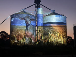 Tourist attraction opens