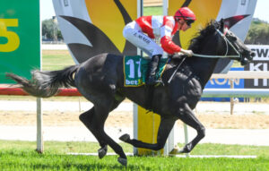 Hobson’s big day out