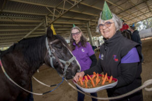 Birthday cake and carrots aplenty