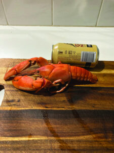 Moulamein Notes with China Gibson January 7