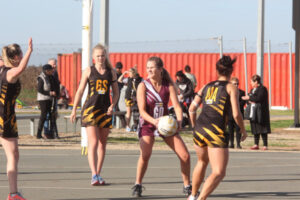 Tigers challenge Swans’ dynasty