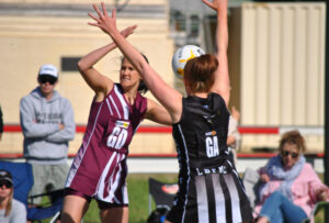 Magpie swoop ends long wait