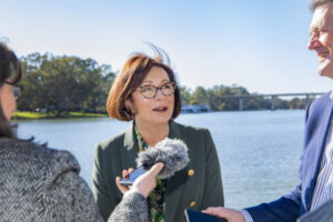 Plibersek buyback likely