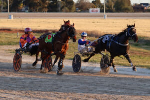 Speed thrills at trots