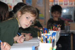 Reading to learn at North