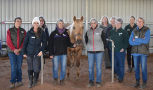 New volunteers keep kids in the saddle